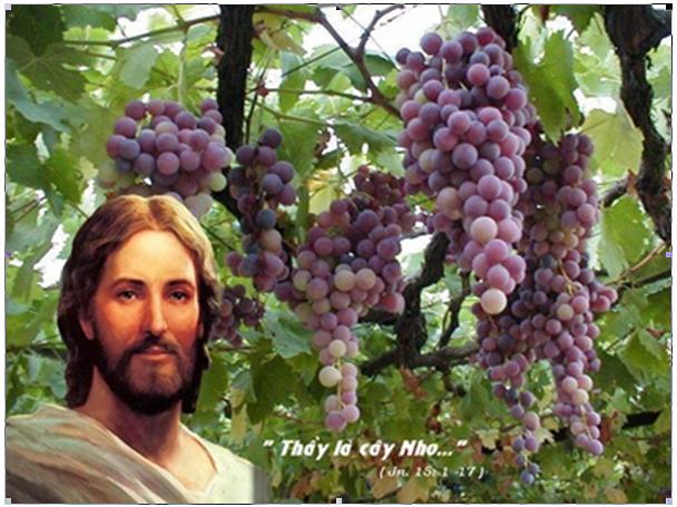 Nhấn vào ảnh để xem kích thước thật
Tên: Thaylacaynho.JPG
Lần xem: 306
Kích thước: 60.1 KB