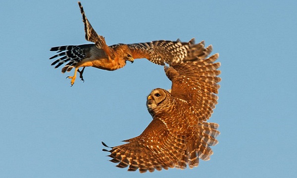 Nhấn vào ảnh để xem kích thước thật
Tên: kenut.jpg
Lần xem: 736
Kích thước: 60.0 KB