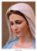 HoFatima's Avatar